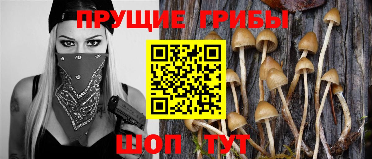 Амурск  Псилоцибиновые грибы мухоморы  Вход с VPN  Псилоцибиновые грибы мухоморы 
