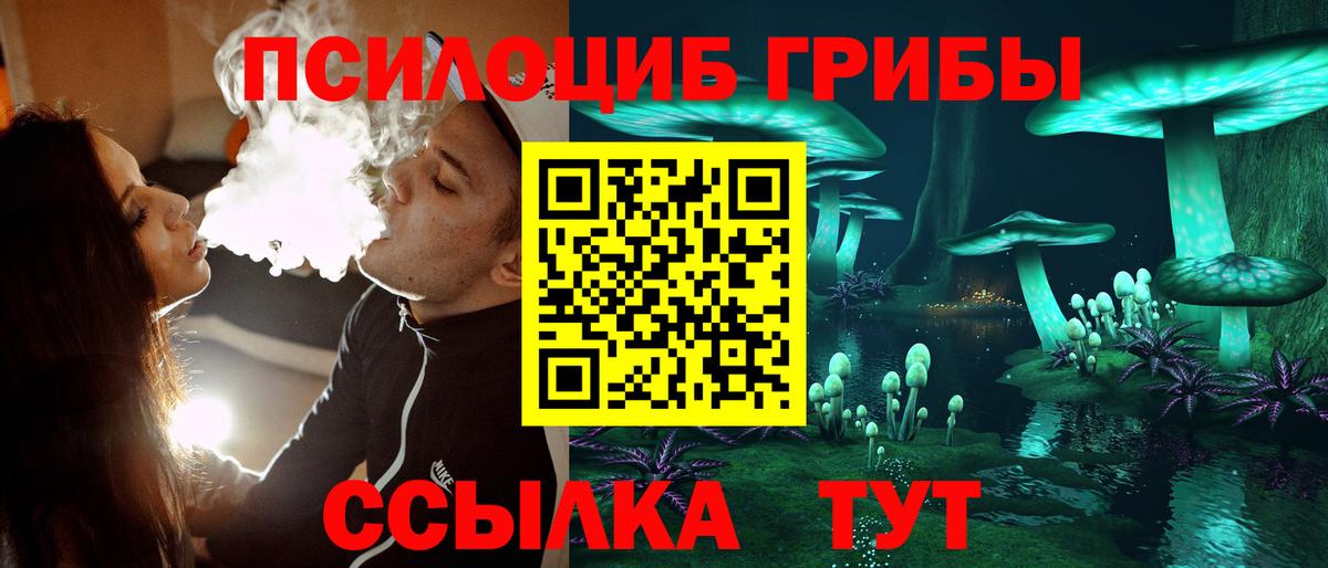 Галлюциногенные грибы GOLDEN TEACHER Амурск